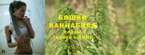 прущие грибы Баксан