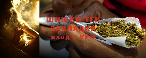 крисы Армянск