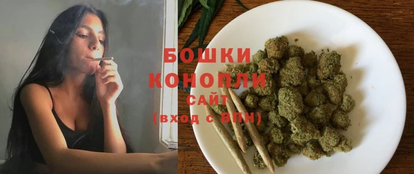 соль ск Арсеньев
