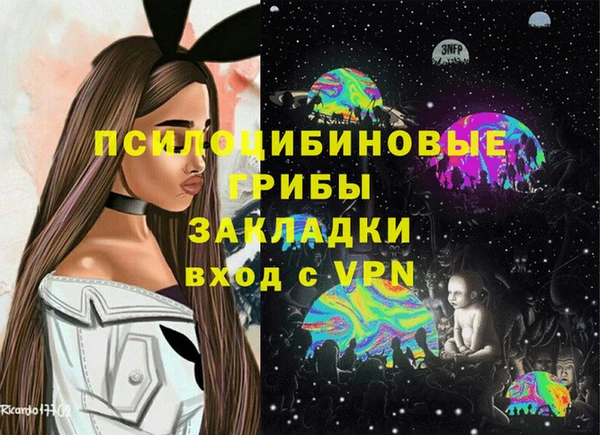 крисы Армянск