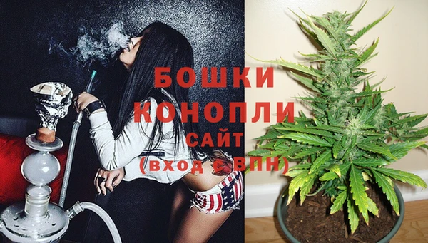 крисы Армянск