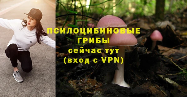 соль ск Арсеньев