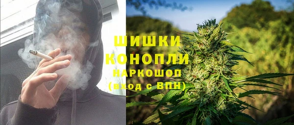 соль ск Арсеньев