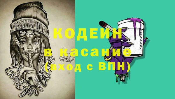 прущие грибы Баксан