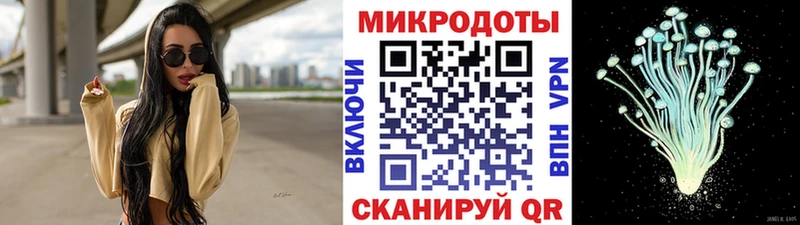 закладка  Любань  Галлюциногенные грибы прущие грибы 
